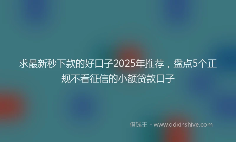 求最新秒下款的好口子2025年推荐，盘点5个正规不看征信的小额贷款口子