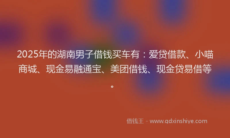 2025年的湖南男子借钱买车有：爱贷借款、小喵商城、现金易融通宝、美团借钱、现金贷易借等。