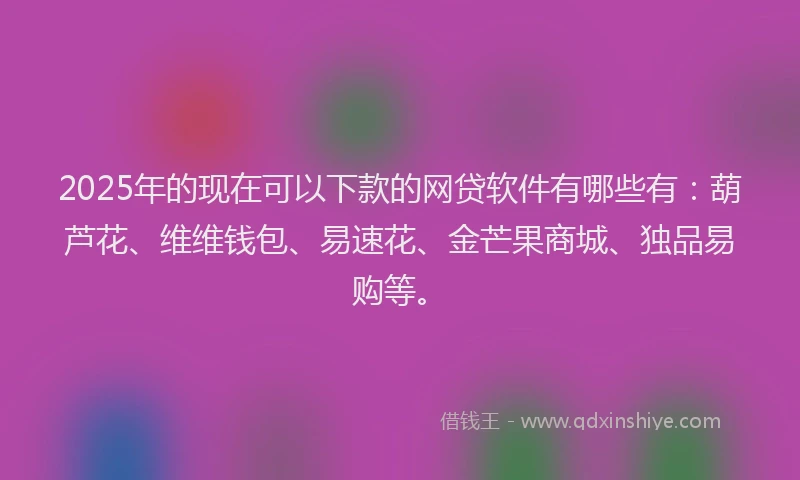 2025年的现在可以下款的网贷软件有哪些有：葫芦花、维维钱包、易速花、金芒果商城、独品易购等。