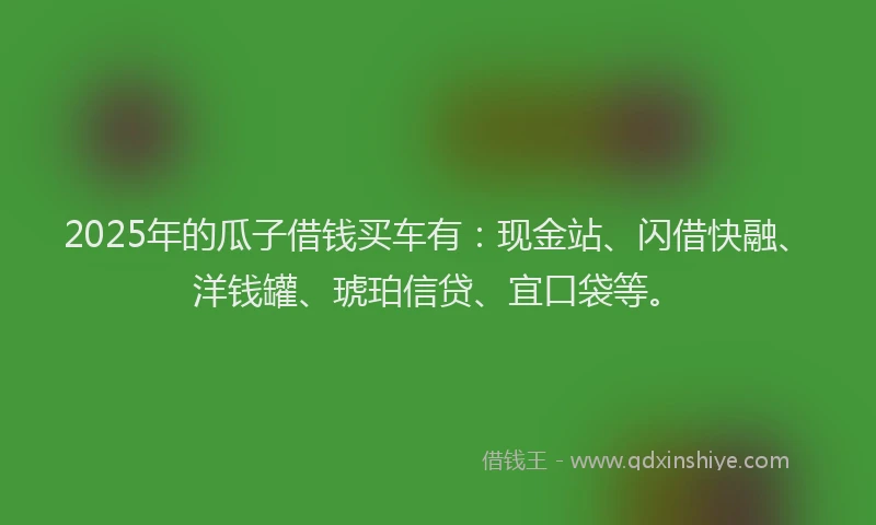 2025年的瓜子借钱买车有：现金站、闪借快融、洋钱罐、琥珀信贷、宜口袋等。