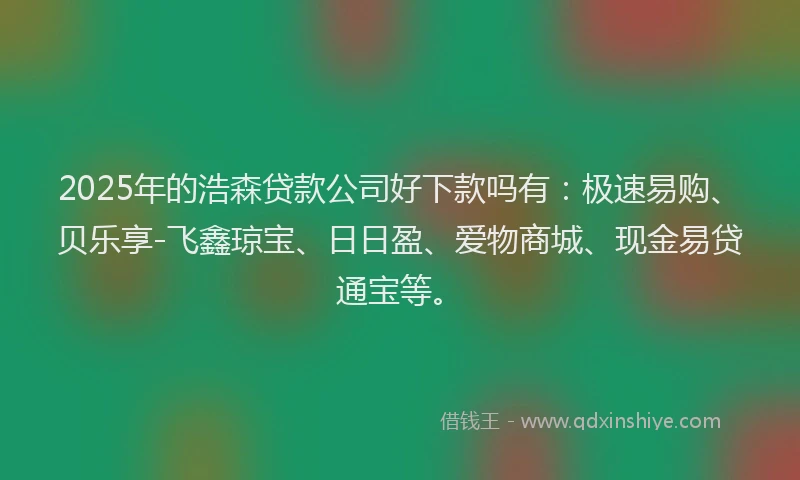 2025年的浩森贷款公司好下款吗有：极速易购、贝乐享-飞鑫琼宝、日日盈、爱物商城、现金易贷通宝等。