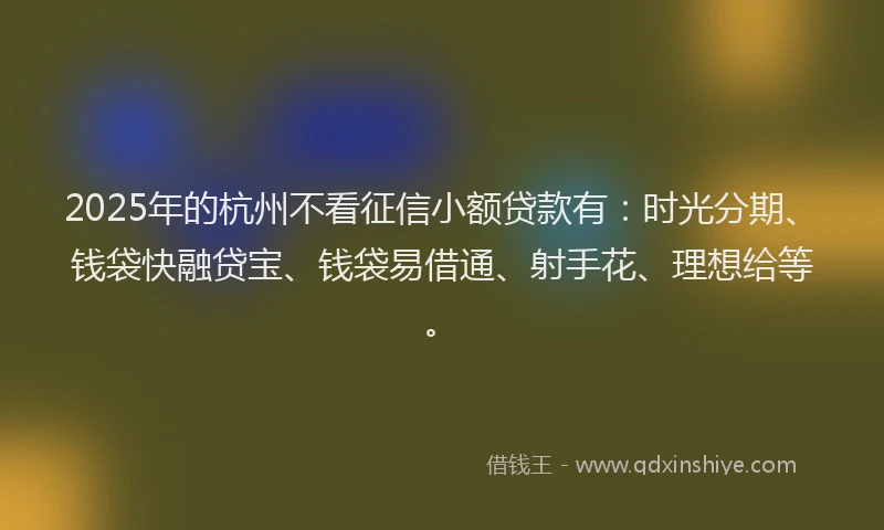 2025年的杭州不看征信小额贷款有：时光分期、钱袋快融贷宝、钱袋易借通、射手花、理想给等。