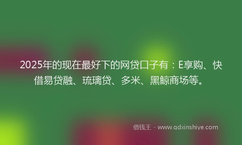 2025年的现在最好下的网贷口子有：E享购、快借易贷融、琉璃贷、多米、黑鲸商场等。