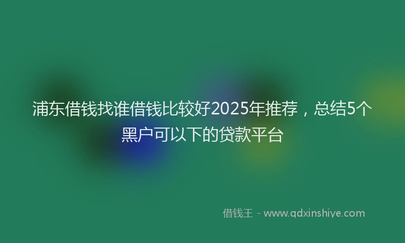 浦东借钱找谁借钱比较好2025年推荐，总结5个黑户可以下的贷款平台
