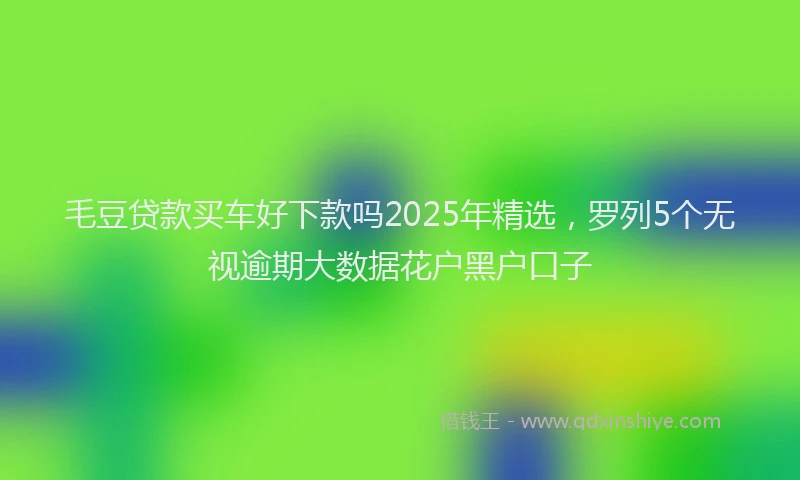 毛豆贷款买车好下款吗2025年精选，罗列5个无视逾期大数据花户黑户口子