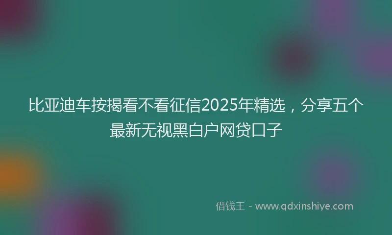 比亚迪车按揭看不看征信2025年精选，分享五个最新无视黑白户网贷口子