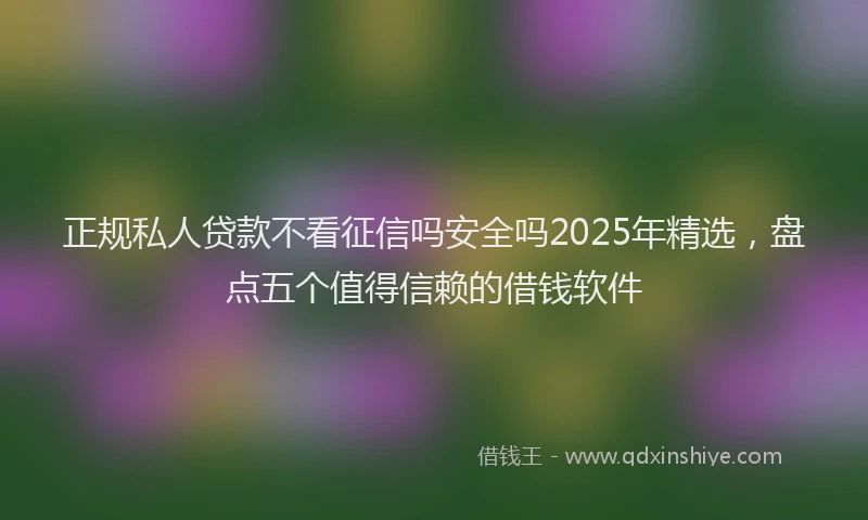 正规私人贷款不看征信吗安全吗2025年精选，盘点五个值得信赖的借钱软件