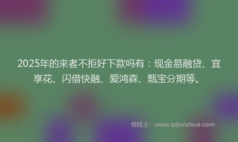 2025年的来者不拒好下款吗有：现金易融贷、宜享花、闪借快融、爱鸿森、甄宝分期等。