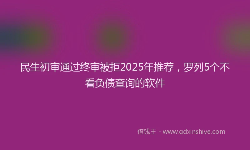 民生初审通过终审被拒2025年推荐，罗列5个不看负债查询的软件