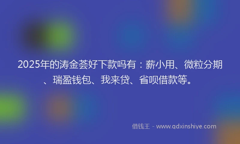 2025年的涛金荟好下款吗有：薪小用、微粒分期、瑞盈钱包、我来贷、省呗借款等。