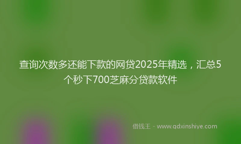 查询次数多还能下款的网贷2025年精选，汇总5个秒下700芝麻分贷款软件