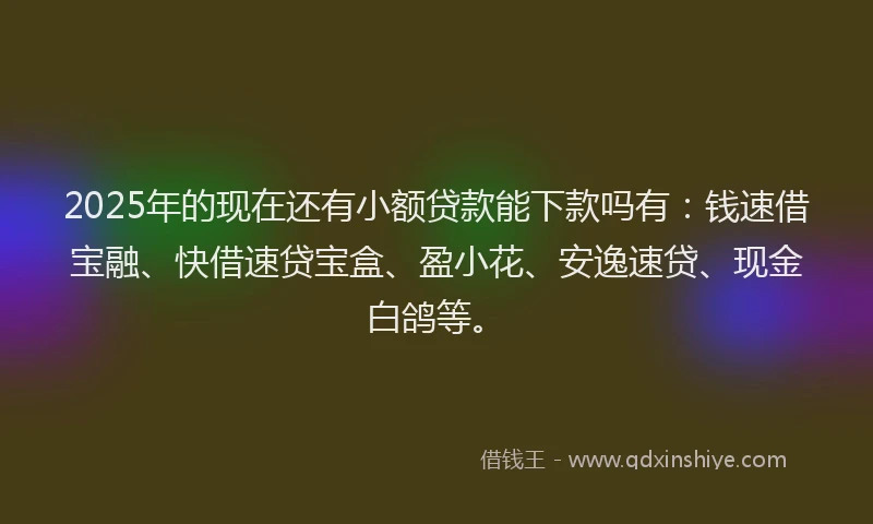 2025年的现在还有小额贷款能下款吗有：钱速借宝融、快借速贷宝盒、盈小花、安逸速贷、现金白鸽等。
