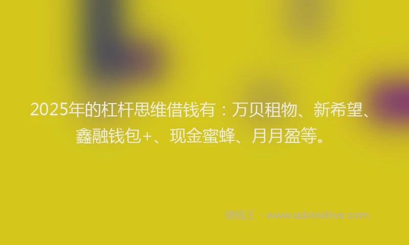 2025年的杠杆思维借钱有：万贝租物、新希望、鑫融钱包+、现金蜜蜂、月月盈等。