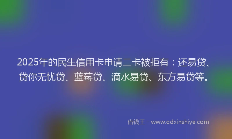 2025年的民生信用卡申请二卡被拒有：还易贷、贷你无忧贷、蓝莓贷、滴水易贷、东方易贷等。