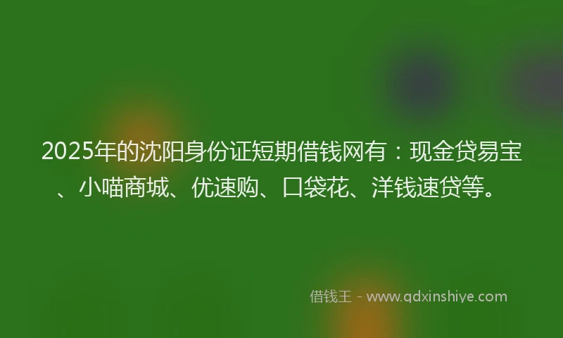 2025年的沈阳身份证短期借钱网有：现金贷易宝、小喵商城、优速购、口袋花、洋钱速贷等。