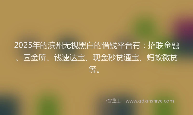 2025年的滨州无视黑白的借钱平台有：招联金融、固金所、钱速达宝、现金秒贷通宝、蚂蚁微贷等。