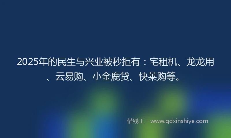 2025年的民生与兴业被秒拒有：宅租机、龙龙用、云易购、小金鹿贷、快莱购等。