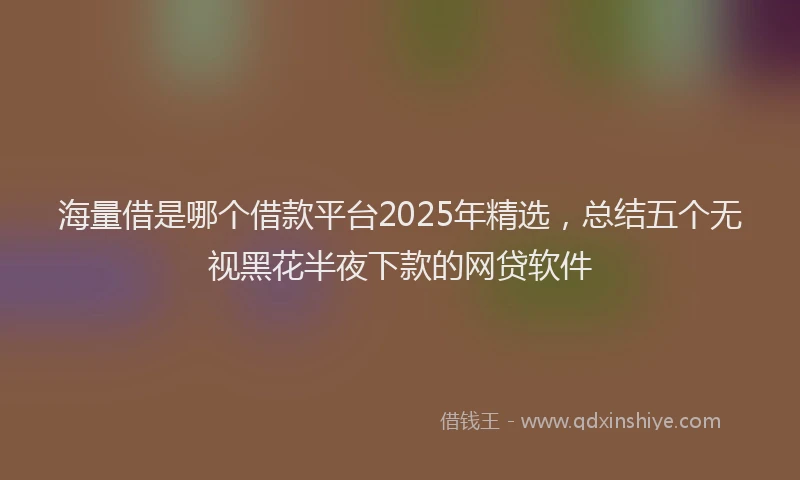海量借是哪个借款平台2025年精选，总结五个无视黑花半夜下款的网贷软件