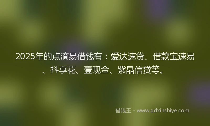 2025年的点滴易借钱有：爱达速贷、借款宝速易、抖享花、壹现金、紫晶信贷等。