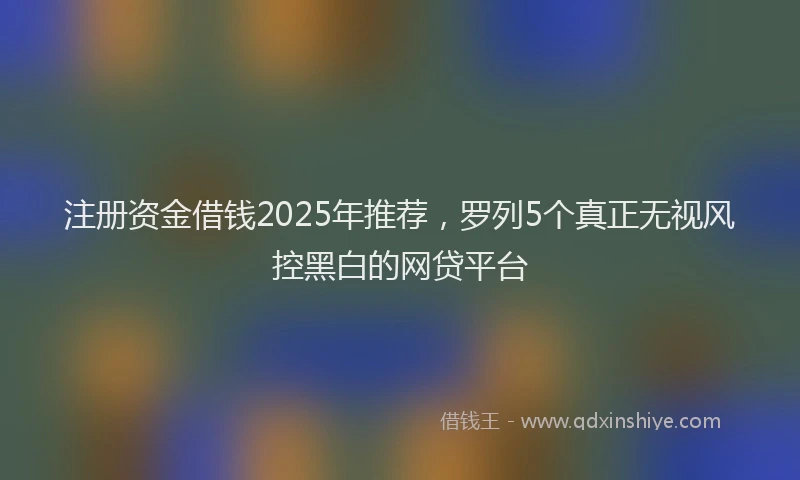 注册资金借钱2025年推荐，罗列5个真正无视风控黑白的网贷平台