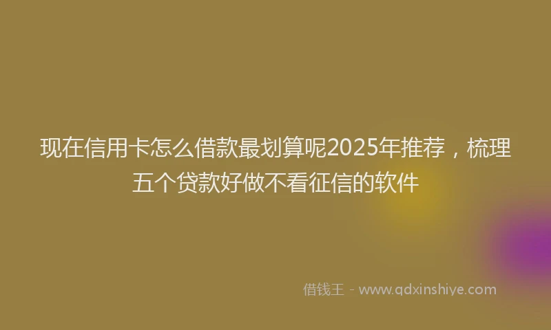 现在信用卡怎么借款最划算呢2025年推荐，梳理五个贷款好做不看征信的软件
