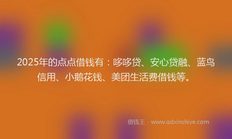 2025年的点点借钱有：哆哆贷、安心贷融、蓝鸟信用、小鹅花钱、美团生活费借钱等。