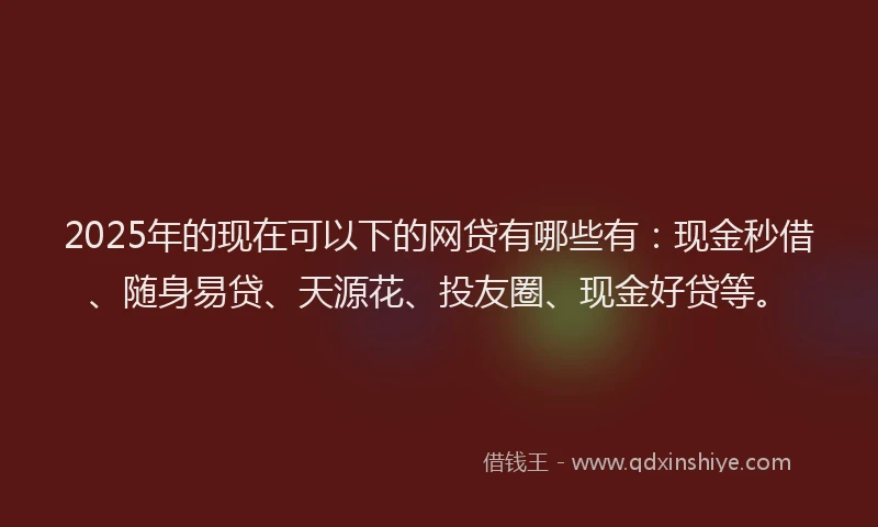 2025年的现在可以下的网贷有哪些有：现金秒借、随身易贷、天源花、投友圈、现金好贷等。