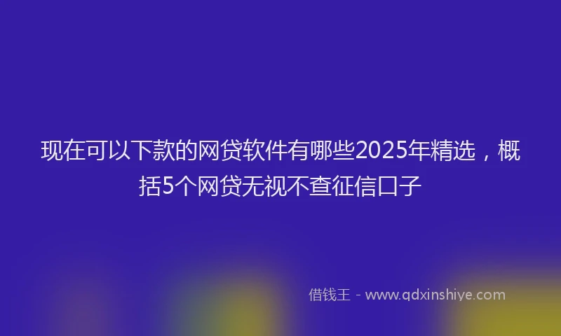 现在可以下款的网贷软件有哪些2025年精选，概括5个网贷无视不查征信口子