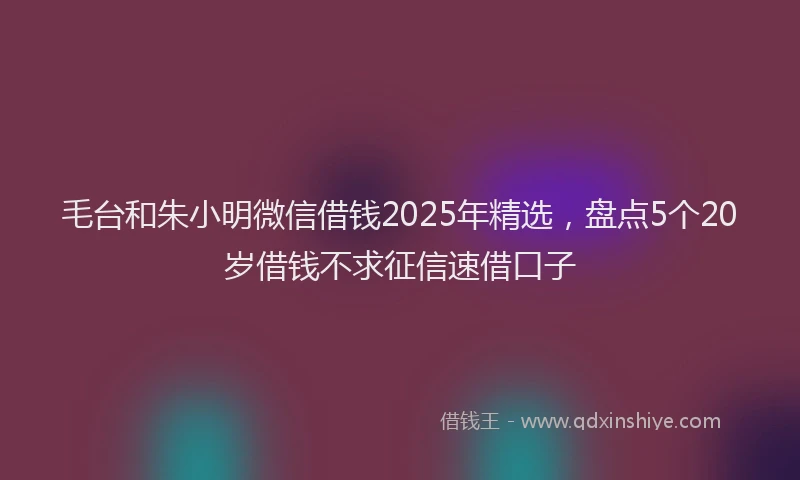 毛台和朱小明微信借钱2025年精选，盘点5个20岁借钱不求征信速借口子