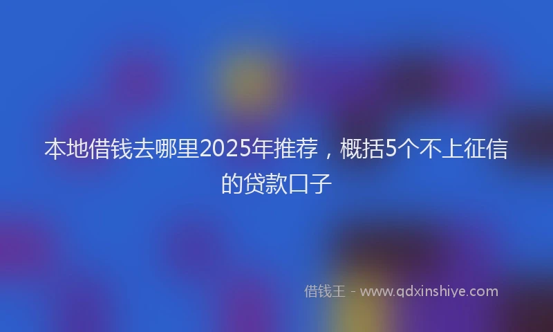 本地借钱去哪里2025年推荐，概括5个不上征信的贷款口子