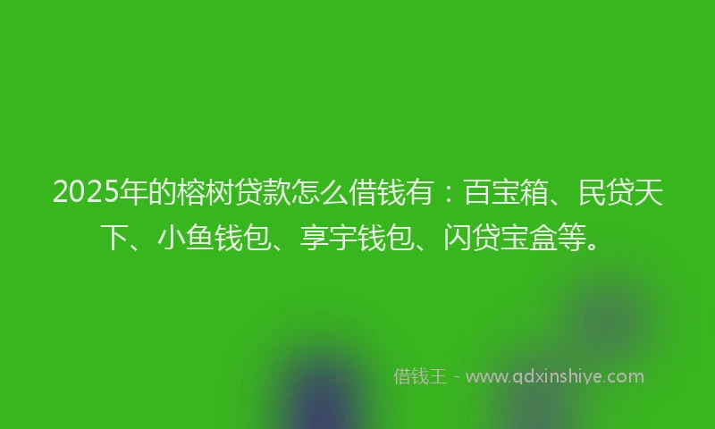 2025年的榕树贷款怎么借钱有：百宝箱、民贷天下、小鱼钱包、享宇钱包、闪贷宝盒等。