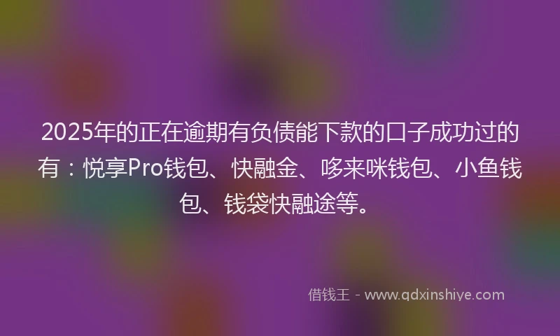2025年的正在逾期有负债能下款的口子成功过的有：悦享Pro钱包、快融金、哆来咪钱包、小鱼钱包、钱袋快融途等。