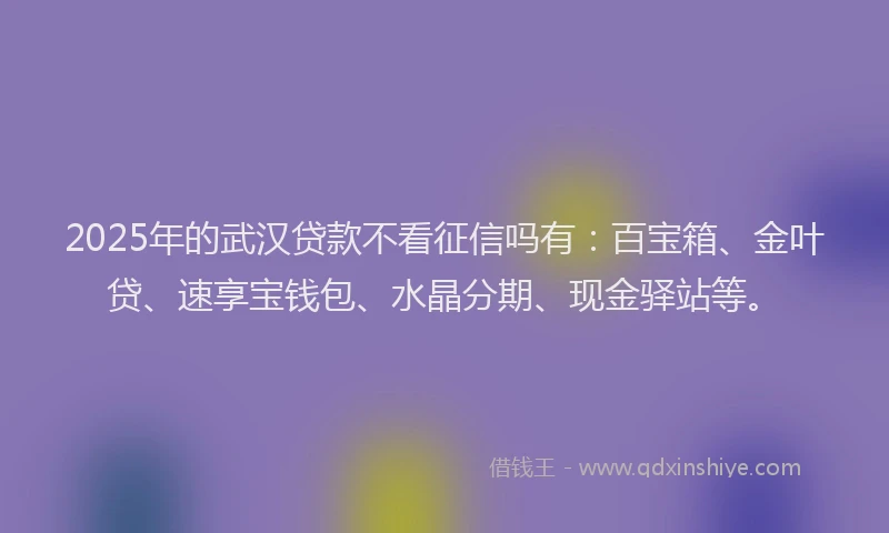 2025年的武汉贷款不看征信吗有：百宝箱、金叶贷、速享宝钱包、水晶分期、现金驿站等。