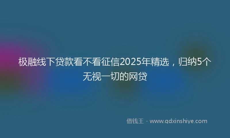 极融线下贷款看不看征信2025年精选，归纳5个无视一切的网贷