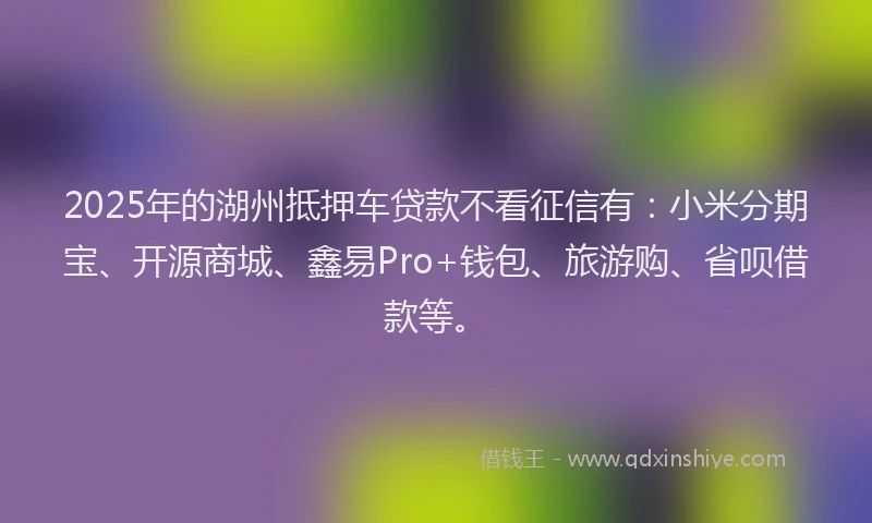 2025年的湖州抵押车贷款不看征信有：小米分期宝、开源商城、鑫易Pro+钱包、旅游购、省呗借款等。