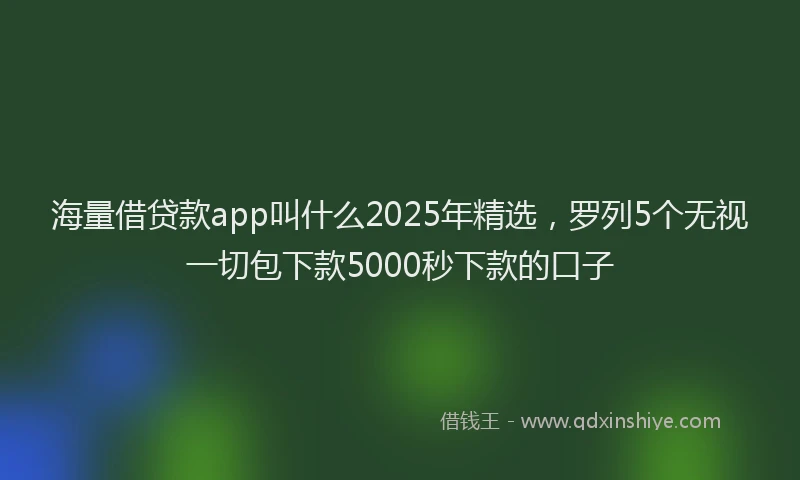 海量借贷款app叫什么2025年精选，罗列5个无视一切包下款5000秒下款的口子