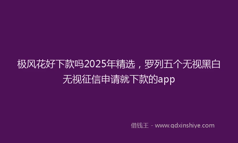 极风花好下款吗2025年精选，罗列五个无视黑白无视征信申请就下款的app