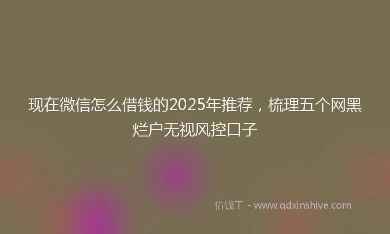 现在微信怎么借钱的2025年推荐，梳理五个网黑烂户无视风控口子