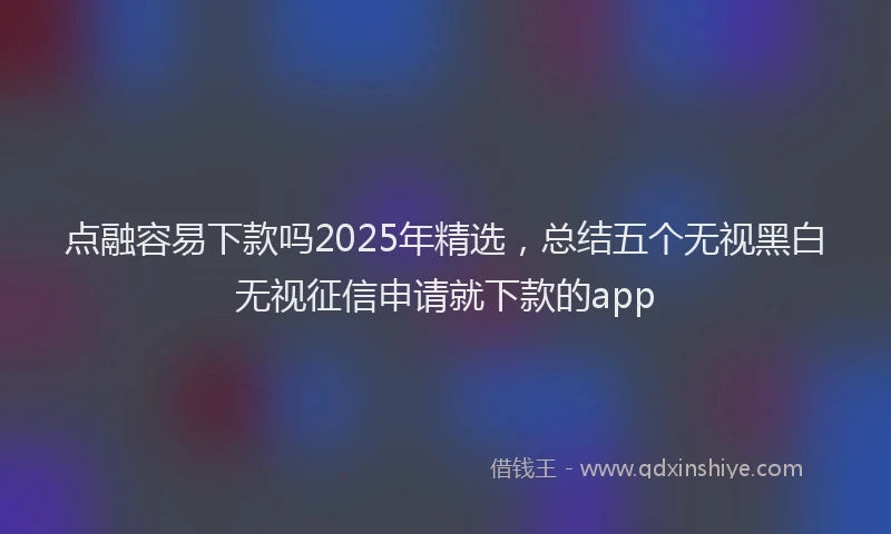 点融容易下款吗2025年精选，总结五个无视黑白无视征信申请就下款的app