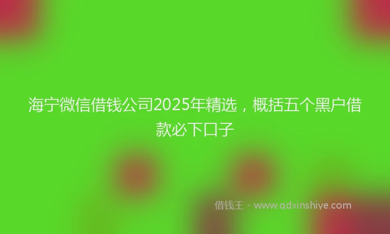海宁微信借钱公司2025年精选，概括五个黑户借款必下口子