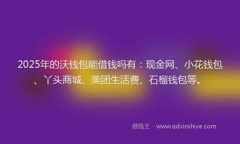 2025年的沃钱包能借钱吗有：现金网、小花钱包、丫头商城、美团生活费、石榴钱包等。