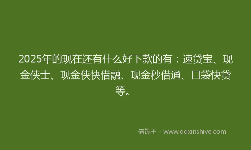 2025年的现在还有什么好下款的有：速贷宝、现金侠士、现金侠快借融、现金秒借通、口袋快贷等。