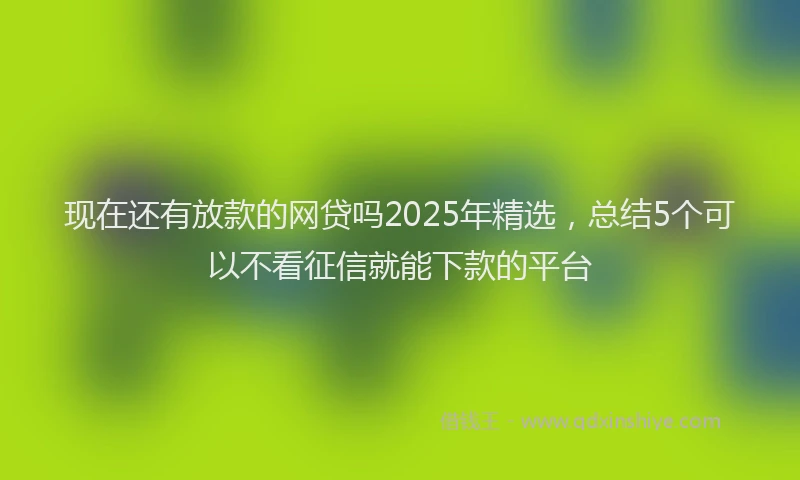 现在还有放款的网贷吗2025年精选，总结5个可以不看征信就能下款的平台