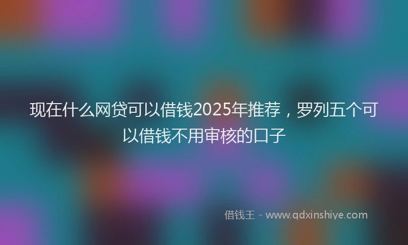 现在什么网贷可以借钱2025年推荐，罗列五个可以借钱不用审核的口子