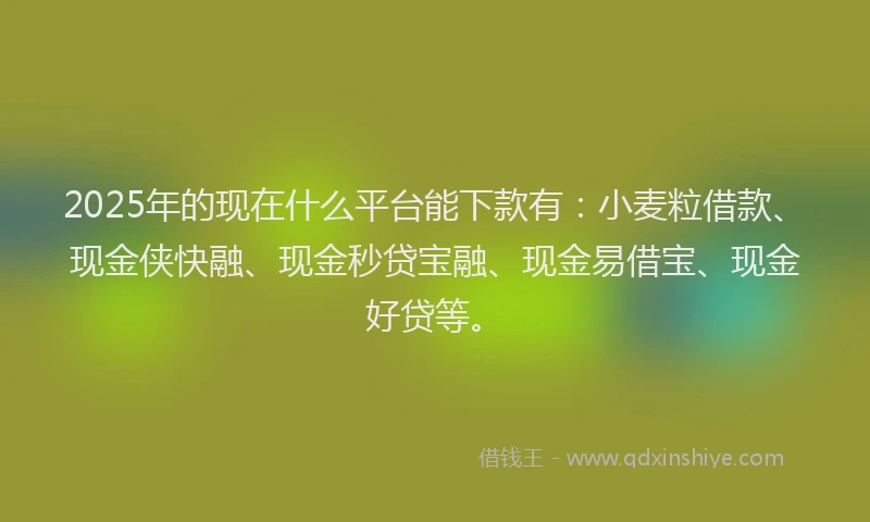 2025年的现在什么平台能下款有：小麦粒借款、现金侠快融、现金秒贷宝融、现金易借宝、现金好贷等。