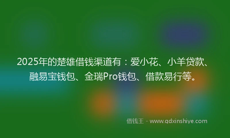 2025年的楚雄借钱渠道有：爱小花、小羊贷款、融易宝钱包、金瑞Pro钱包、借款易行等。