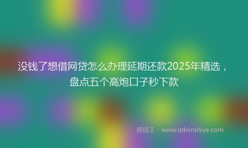 没钱了想借网贷怎么办理延期还款2025年精选，盘点五个高炮口子秒下款