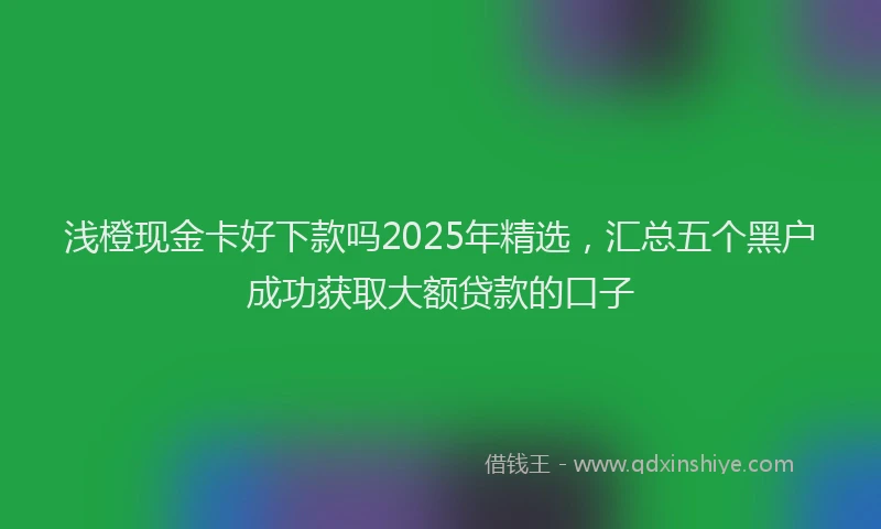 浅橙现金卡好下款吗2025年精选，汇总五个黑户成功获取大额贷款的口子