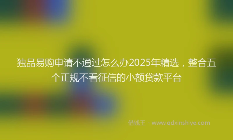 独品易购申请不通过怎么办2025年精选，整合五个正规不看征信的小额贷款平台