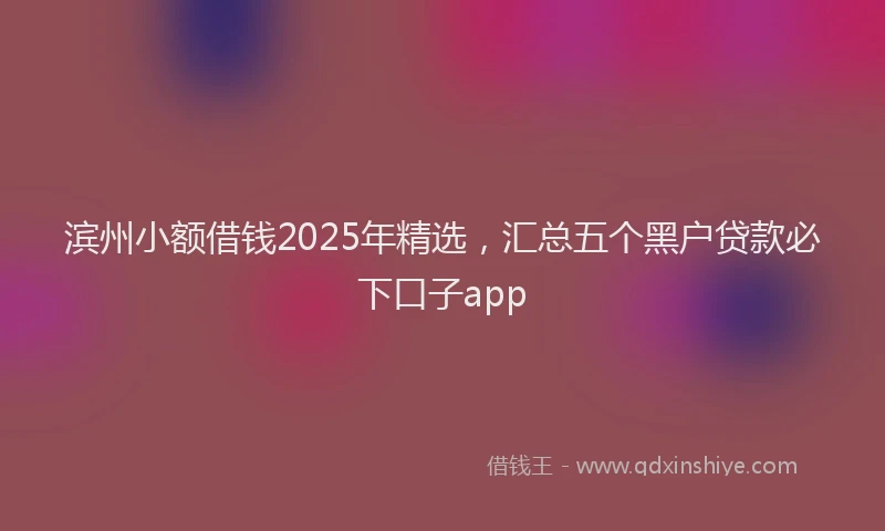 滨州小额借钱2025年精选，汇总五个黑户贷款必下口子app